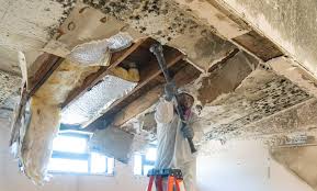 Best Black Mold Removal  in Eastlake, OH